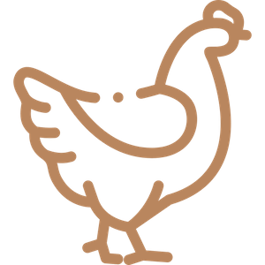 Chicken Icon