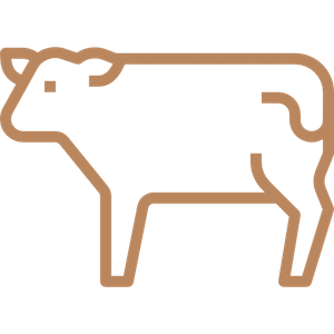 Cow Icon