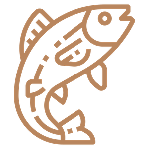 Fish icon
