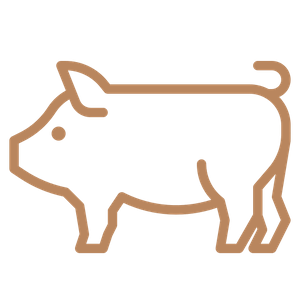 Pig Icon