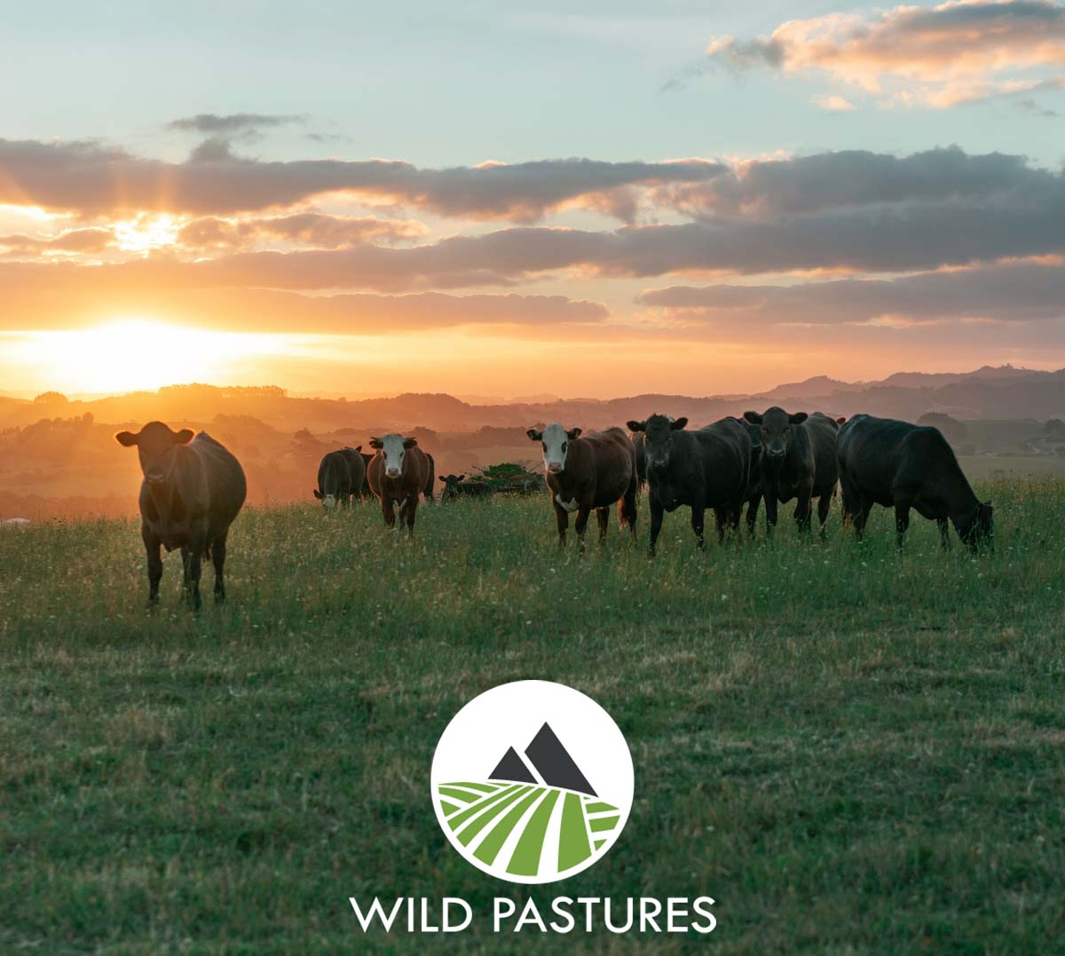 Wild Pastures Tote